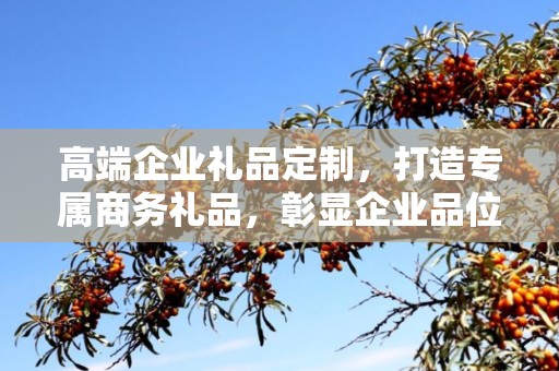 高端企业礼品定制，打造专属商务礼品，彰显企业品位