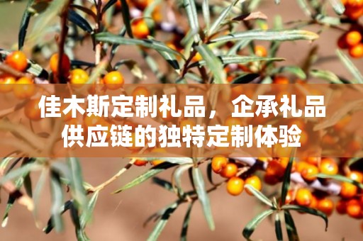 佳木斯定制礼品，企承礼品供应链的独特定制体验