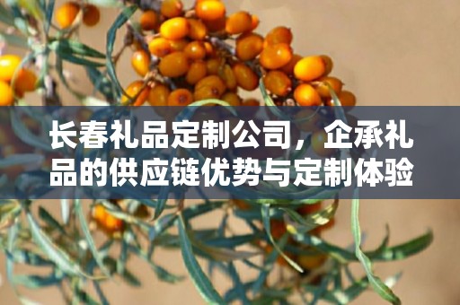 长春礼品定制公司，企承礼品的供应链优势与定制体验